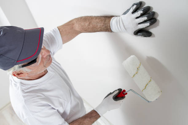 Best Mold Odor Removal Services  in Carl Junction, MO