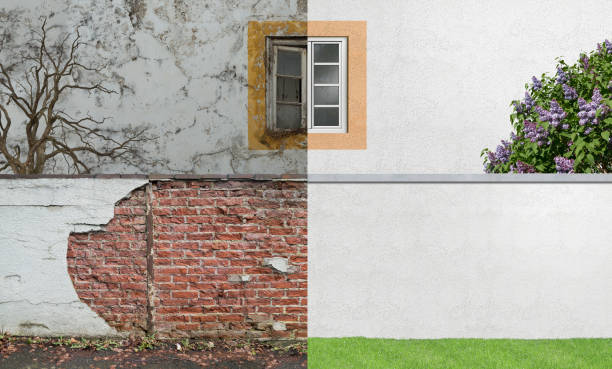 Best Real Estate Mold Inspection  in Carl Junction, MO